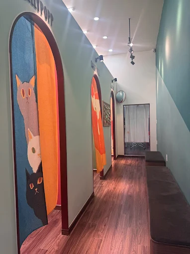 Mèo Mốc photo 2