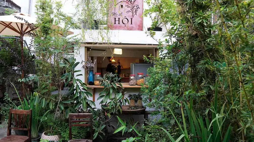 Mơ Đi Hội