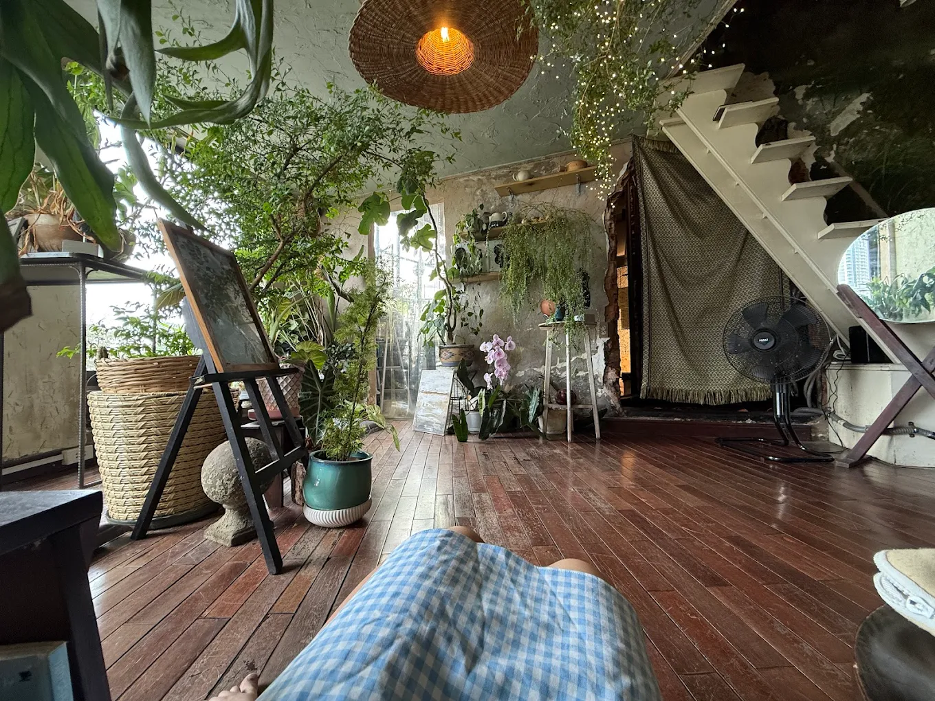 Mơ Đi Hội photo 4