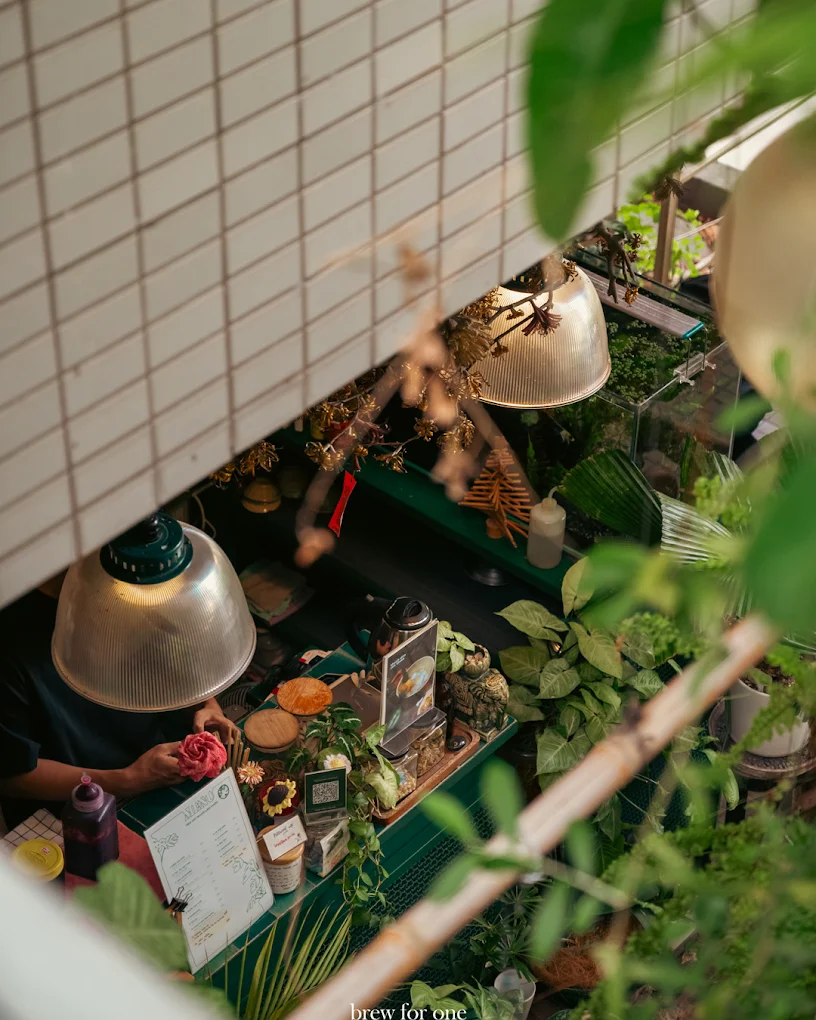 Tiệm Cây Người Làm Vườn photo 1