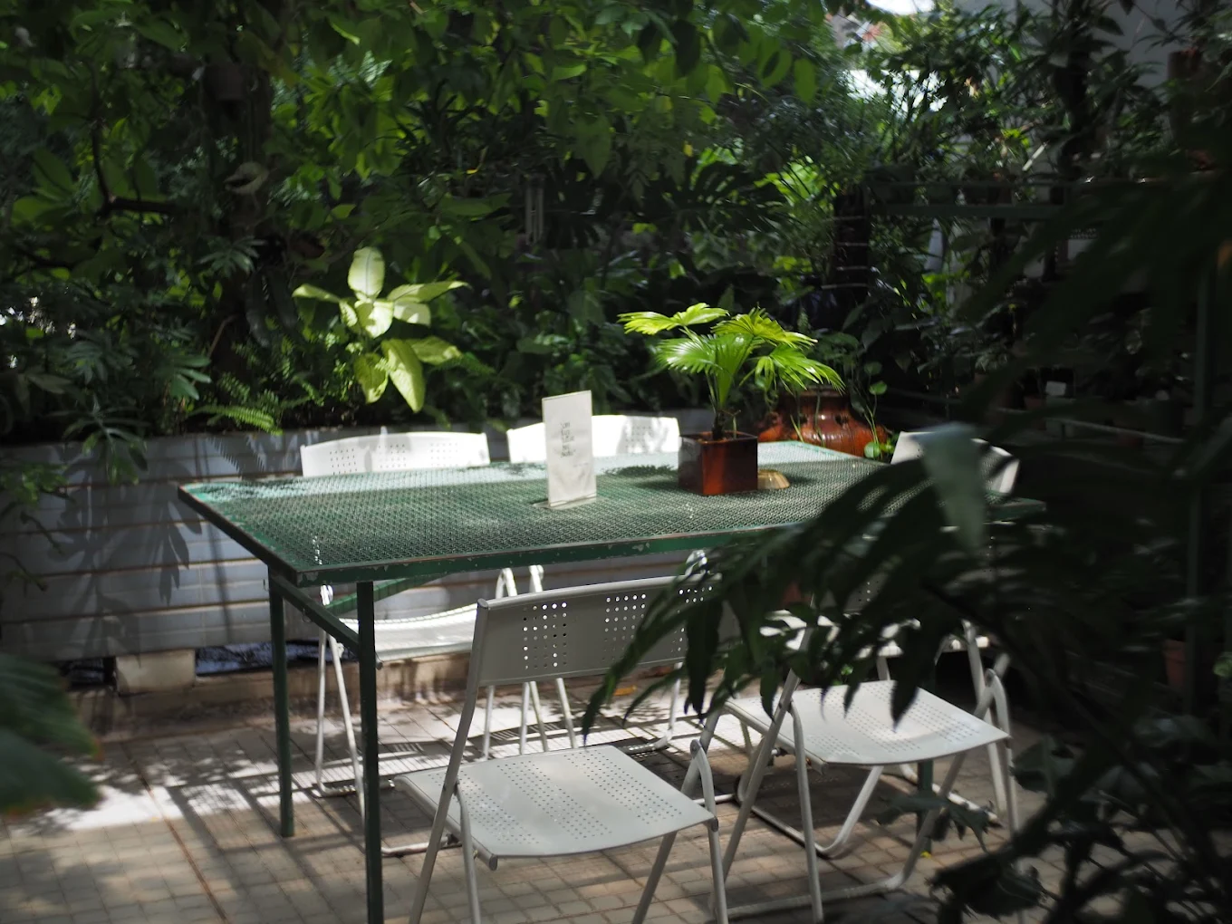 Tiệm Cây Người Làm Vườn photo 4